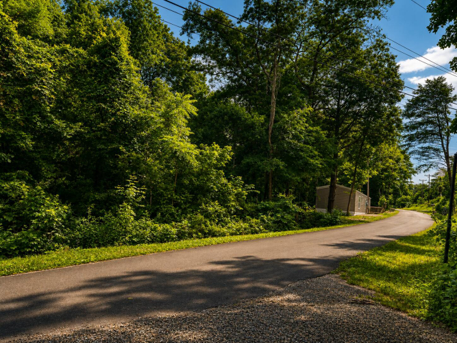 Listing Image 55