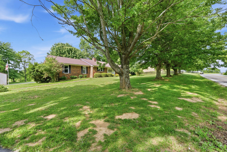 Listing Image 45