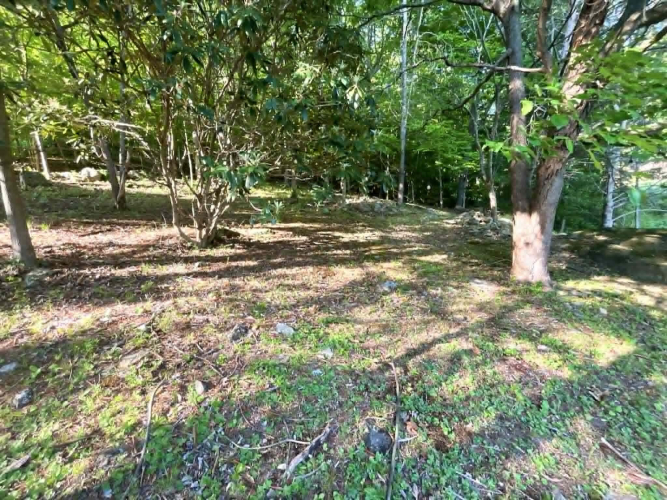Listing Image 59