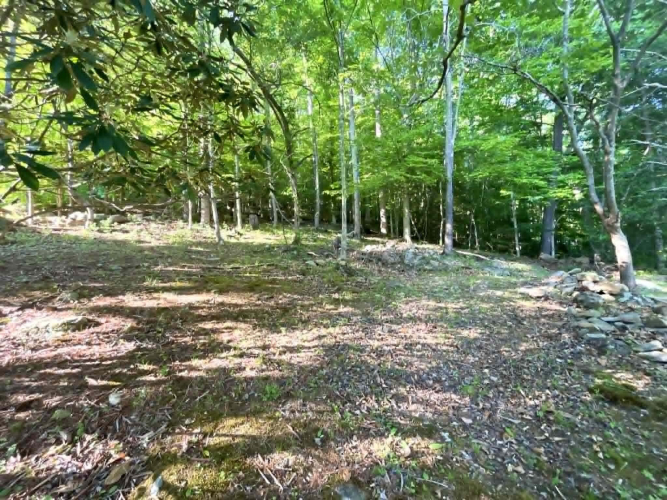 Listing Image 60
