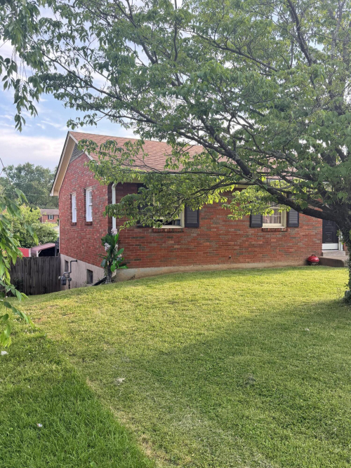 Listing Image 27