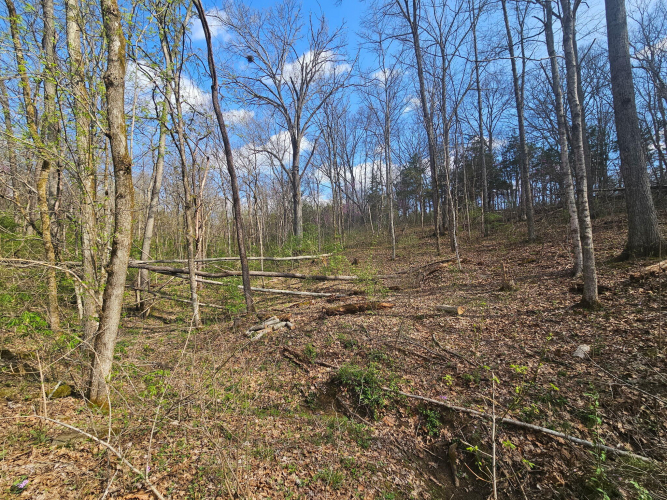 Listing Image 11