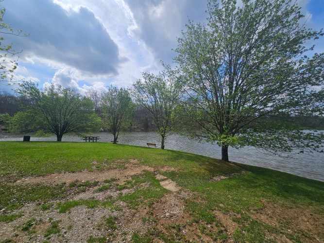 Listing Image 17