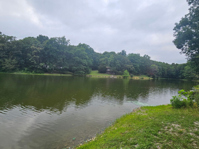 Listing Image 22