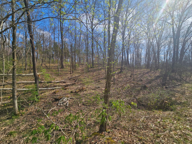Listing Image 10