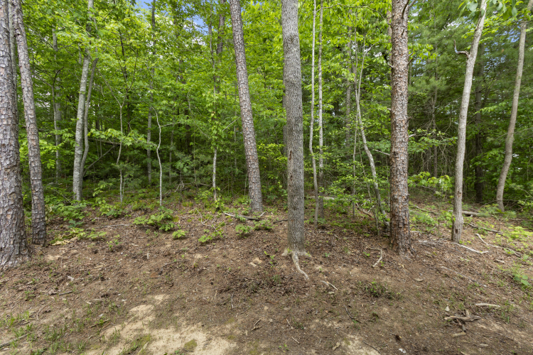 Listing Image 44