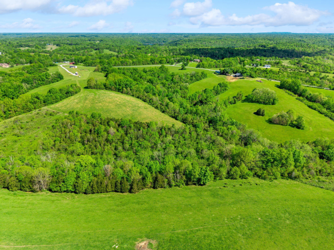 Listing Image 18