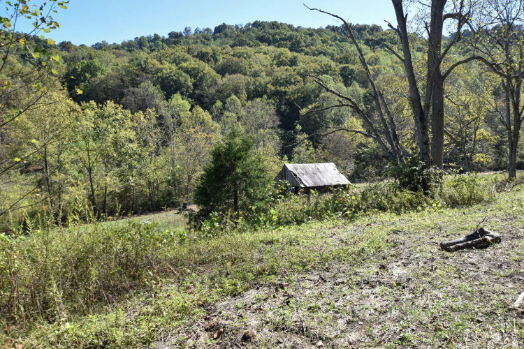 Listing Image 11