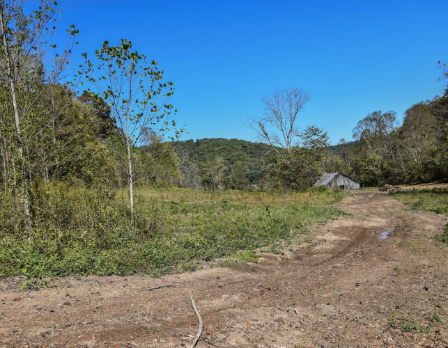 Listing Image 23