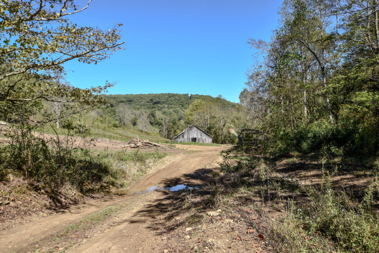 Listing Image 25
