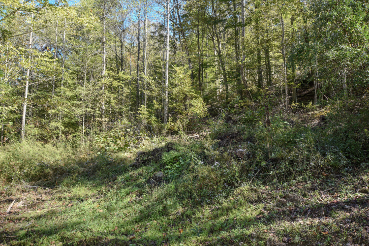 Listing Image 26
