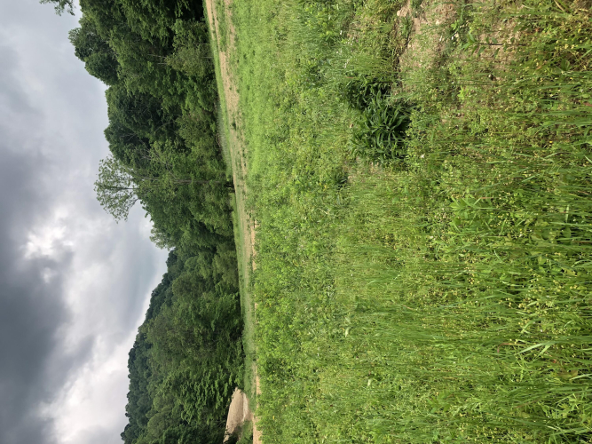 Listing Image 38