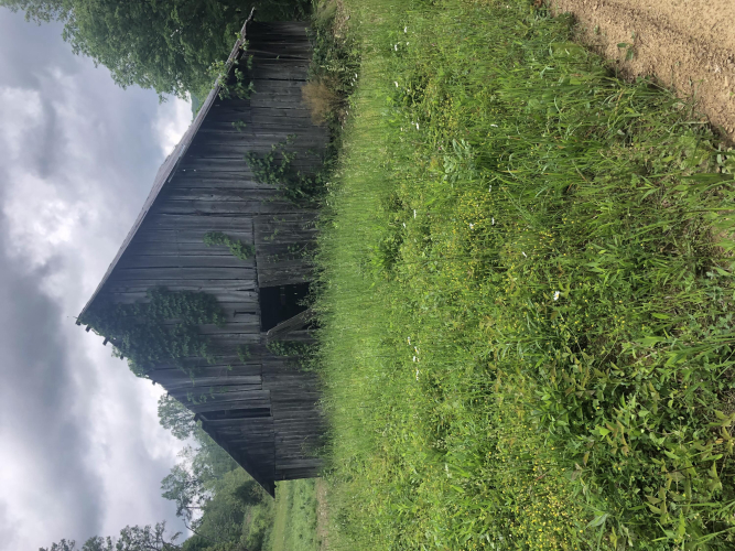 Listing Image 44