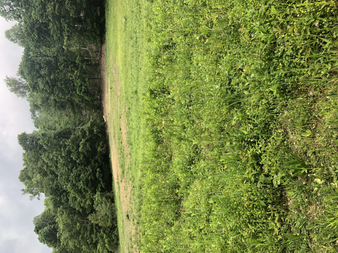 Listing Image 45