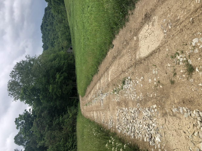 Listing Image 46