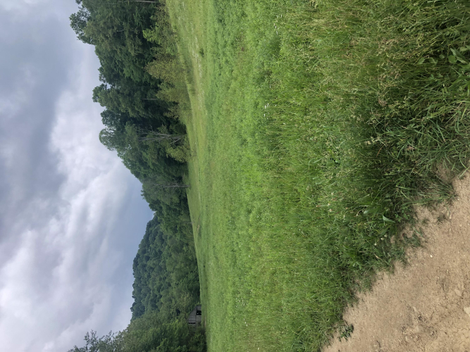 Listing Image 47