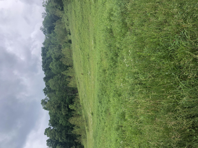 Listing Image 48