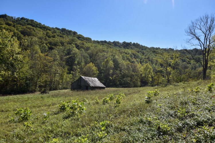 Listing Image 10