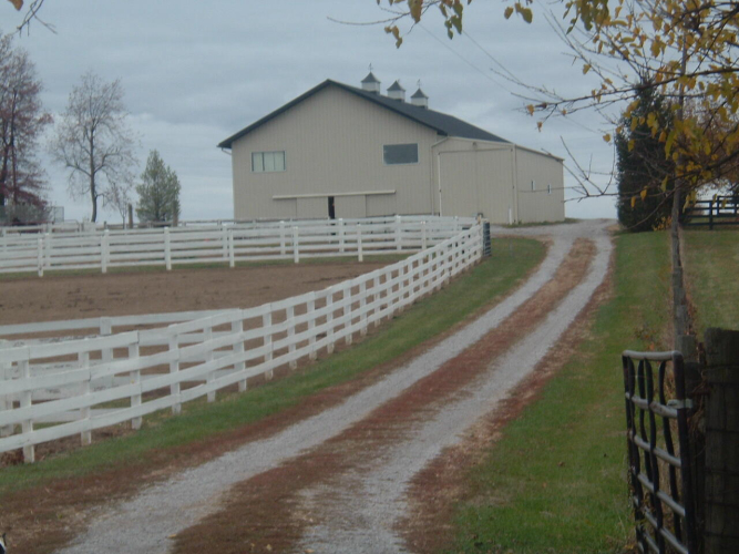 Listing Image 5