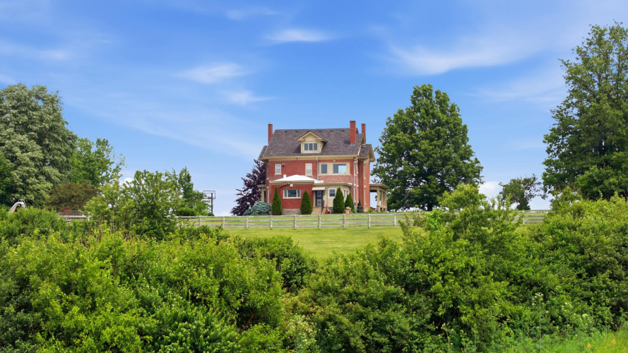 Listing Image 95