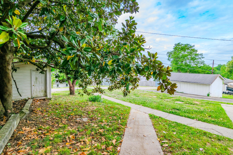 Listing Image 50