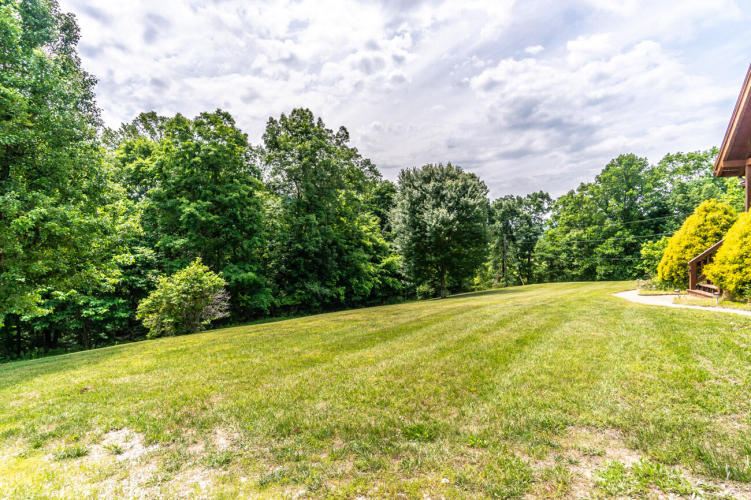 Listing Image 64