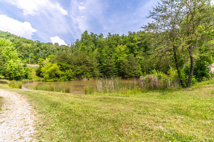 Listing Image 67