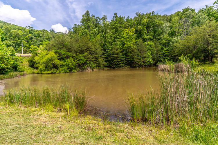 Listing Image 68
