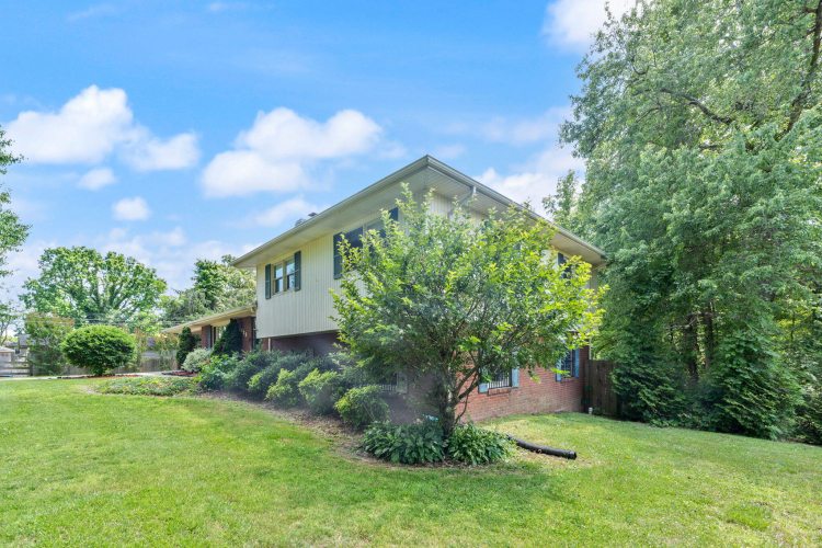 Listing Image 59