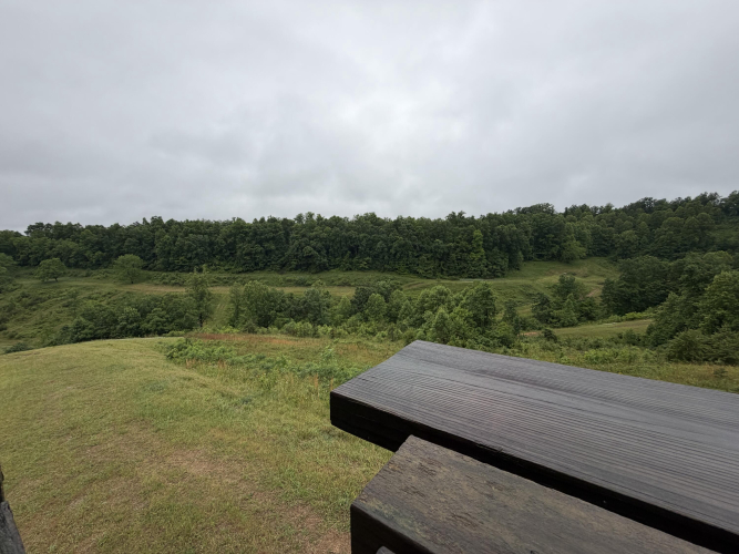 Listing Image 79