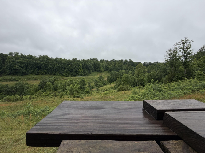 Listing Image 80