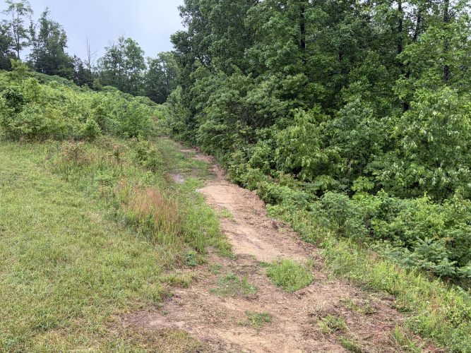 Listing Image 82