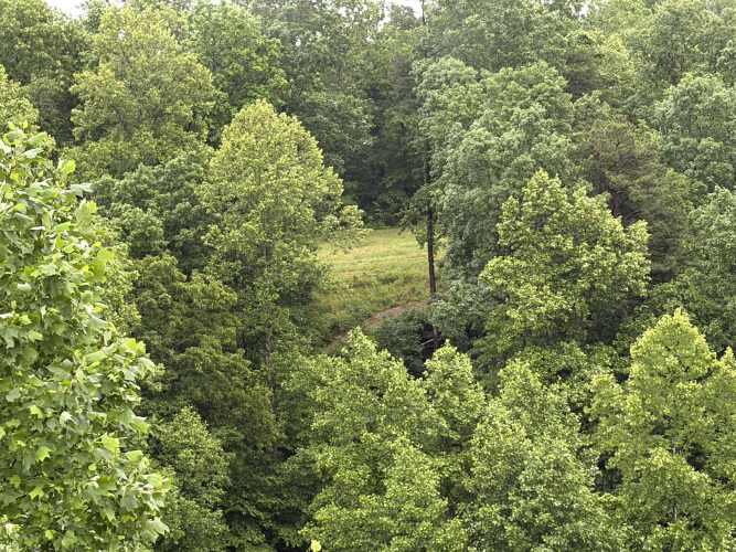 Listing Image 83