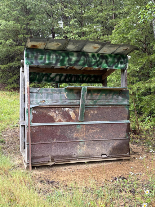 Listing Image 85