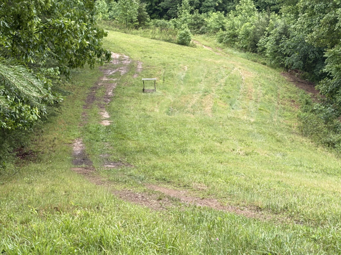 Listing Image 86