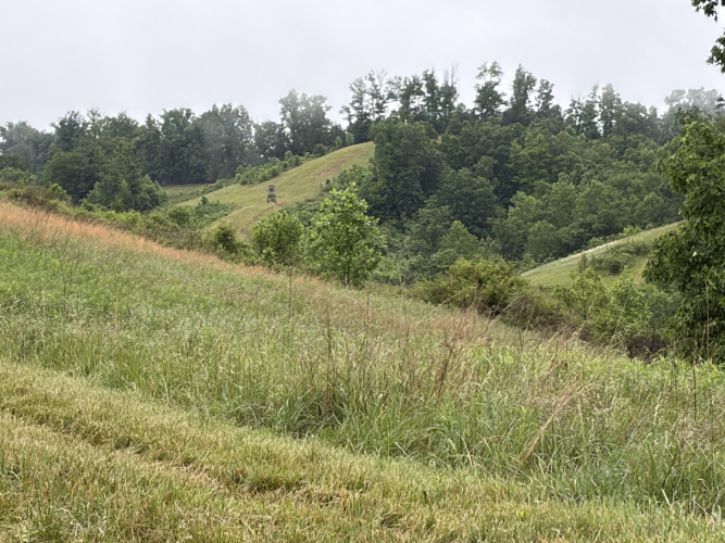 Listing Image 87