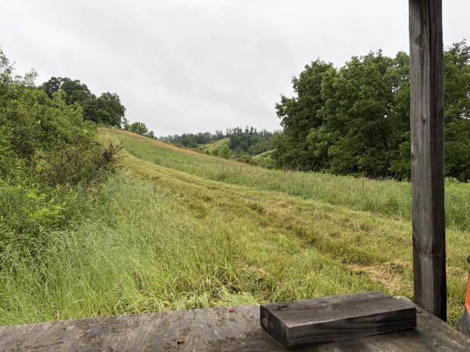 Listing Image 88