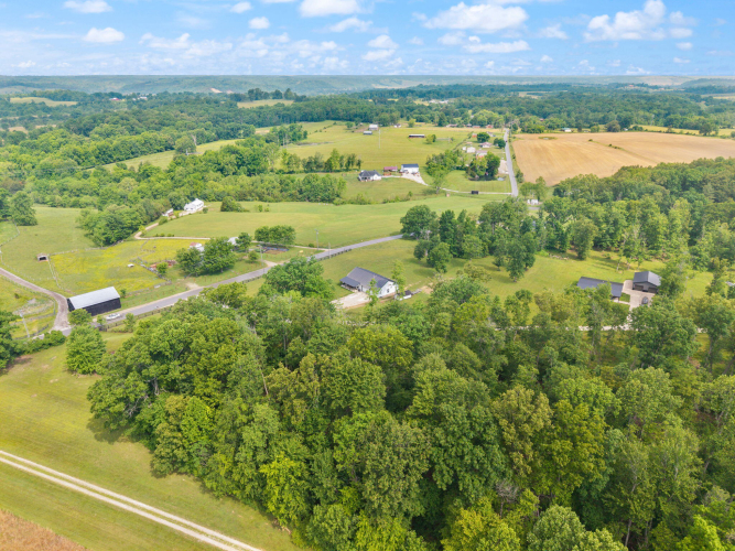 Listing Image 54