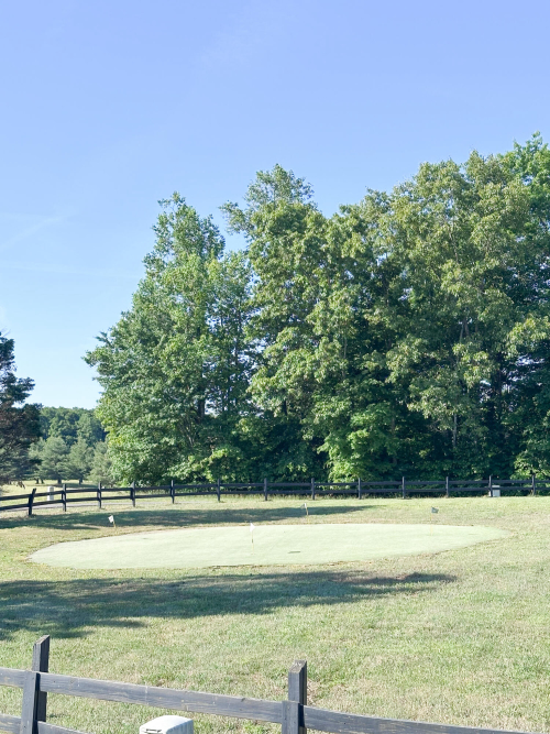 Listing Image 24