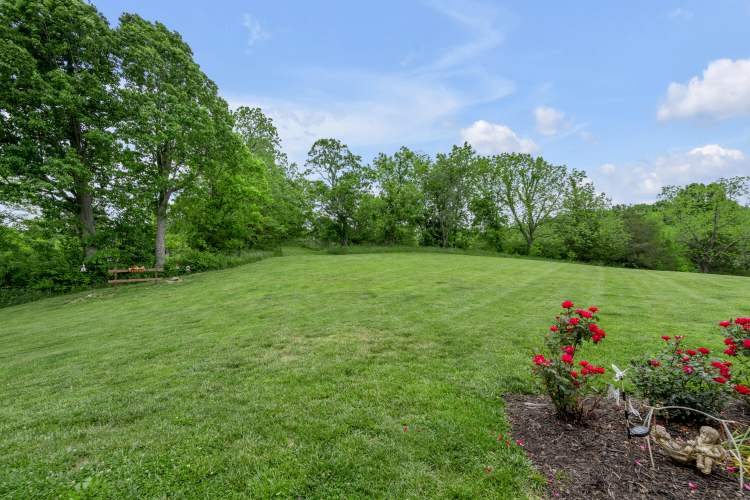 Listing Image 46