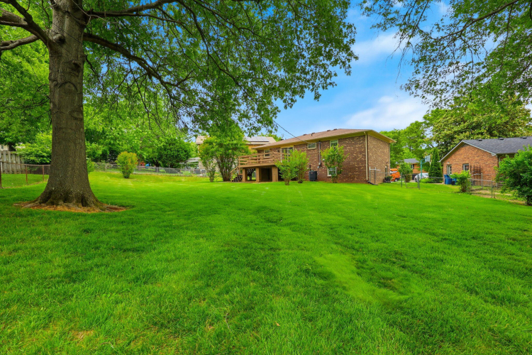 Listing Image 55