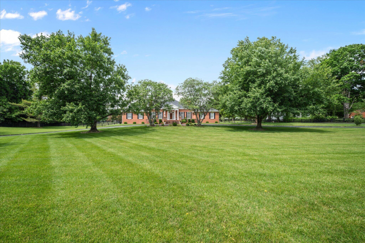 Listing Image 50