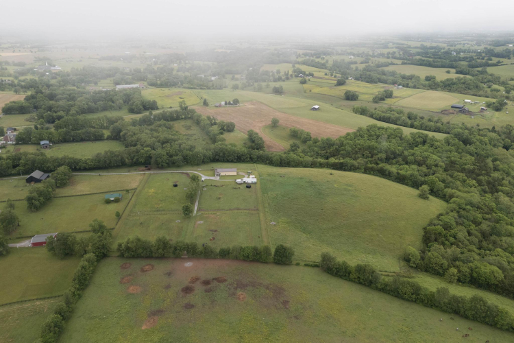 Listing Image 47