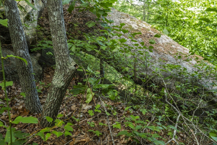 Listing Image 16