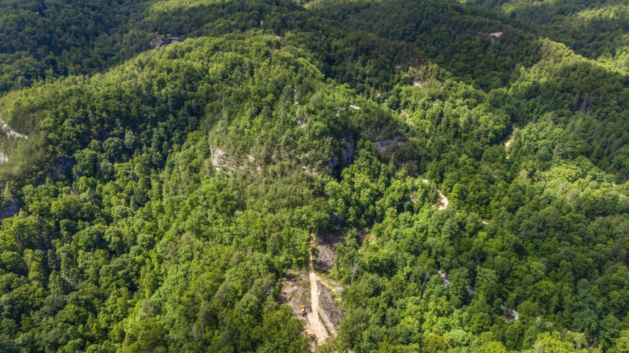 Listing Image 6