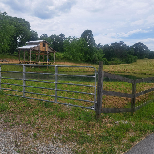 Listing Image 9