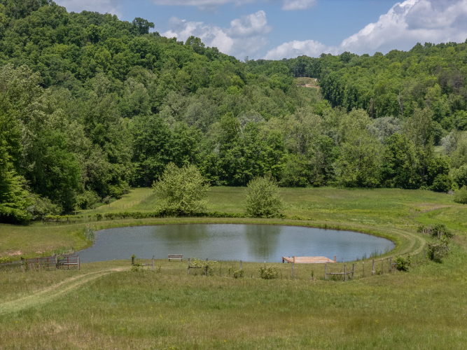 Listing Image 17