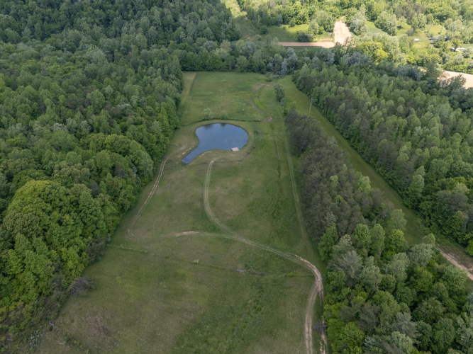 Listing Image 74