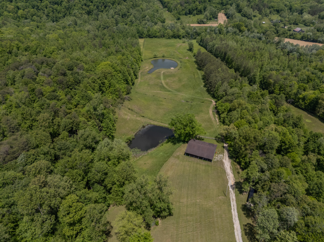 Listing Image 75