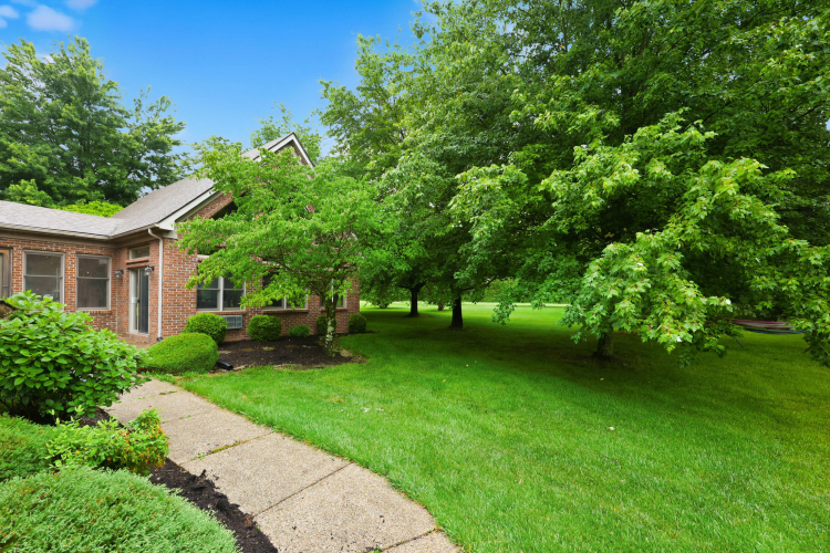 Listing Image 54